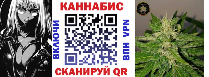 Марихуана сатива  Урус-Мартан 